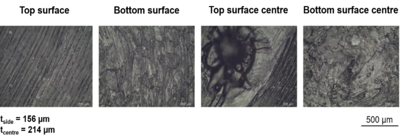 Figure 7. Morphological characterization of the 3D printed electrode. 