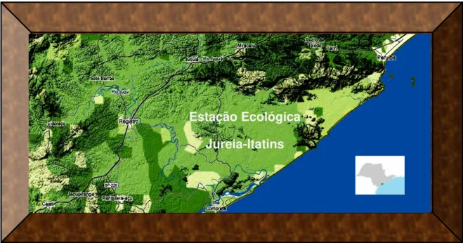 Figura 1  –  Localização da área em que se situa a Estação Ecológica Jureia-Itatins 