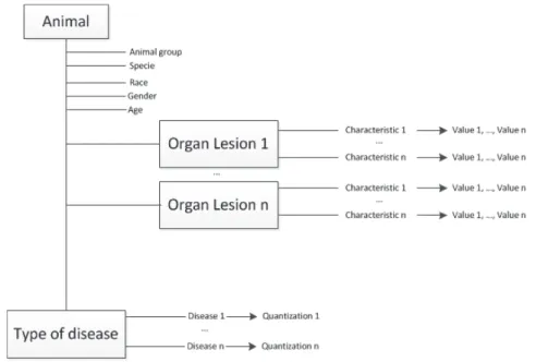 Fig. 9. Classiﬁcation Schema