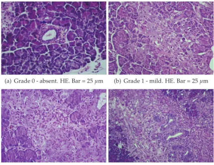 Fig. 6. Semi-quantitative access to ﬁbrosis