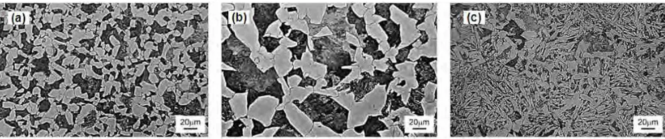 Figura 3.1  -  Micrografia das amostras do aço CL 23 (a) normalizado, (b) resfriado ao forno e (c) resfriado ao ar