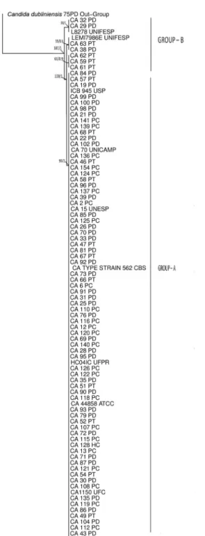 Fig. 1: Bayesian inference phylogenetic tree of Candida albicans iso- iso-lates and reference strains generated using ITS1-5.8S-ITS2 of rDNA  sequences