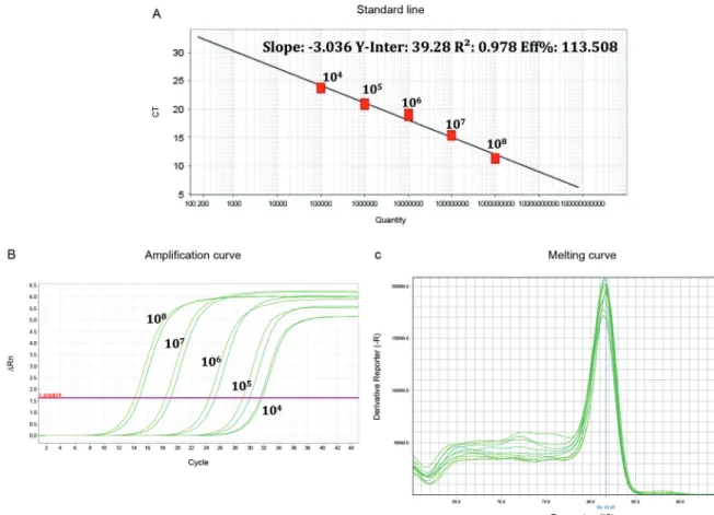 Fig. 2: melting peaks and amplification curve of real-time reverse transcriptase polymerase chain reaction (RT-PCR) for Vesiculovirus