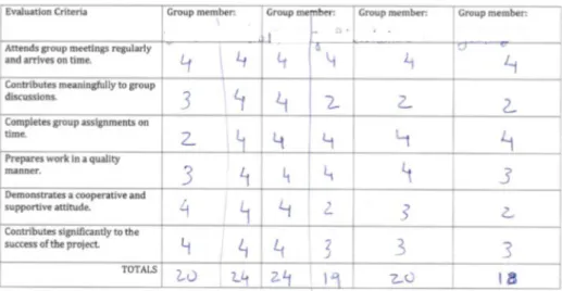 Figure 4. Sample peer evaluation form  