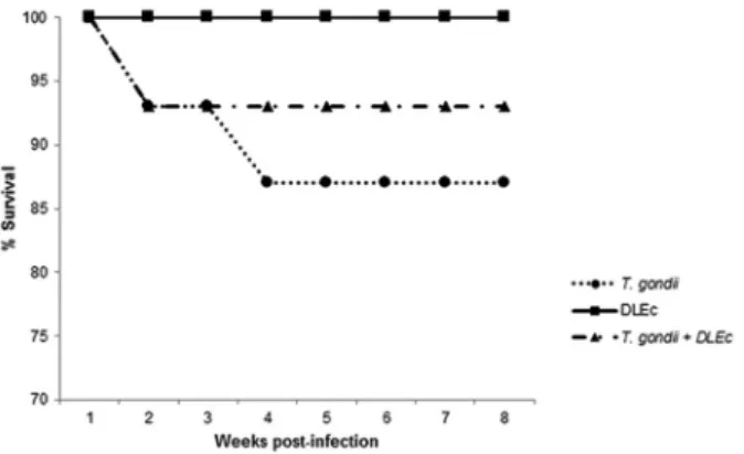 Fig. 5: effect of treatment with DLEc on parasite load at weeks 4 and  8 post-infection in NIH mice (n = 5) infected with Toxoplasma gondii  cysts (ME49 strain)