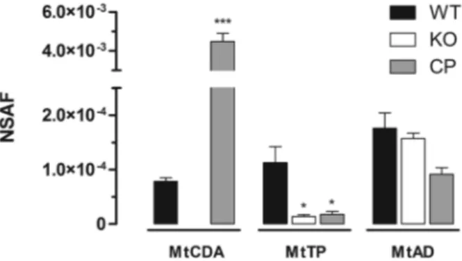 Fig. 2: evaluation of MtCDA, MtTP and MtAD expression. MtCDA,  MtTP and MtAD normalised spectral abundance factor (NSAF) in  wild-type (WT), knockout strain (KO) and complemented strain (CP)  cytoplasmic fractions identified by Multidimentional Protein  Id
