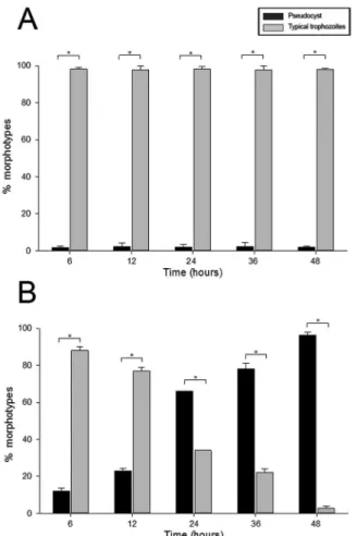 Fig. 4: effect of iron depletion on parasite phenotypes. Parasites were  cultivated for 48 h in standard TYM medium (A) or TYM-DIP  induc-er medium (B)