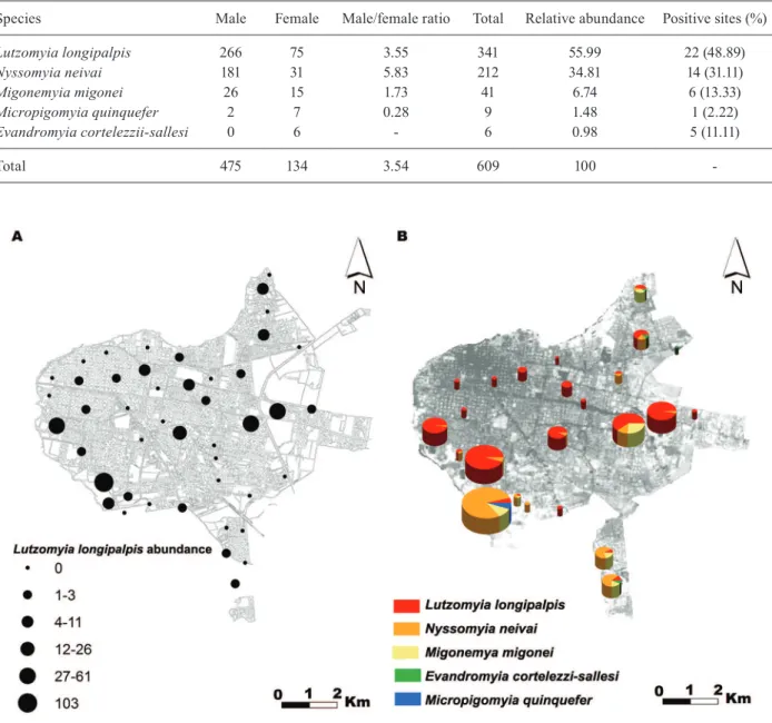 Fig. 2: (A) distribution and abundance of Lutzomyia longipalpis; (B) distribution and abundance of phlebotominae, Corrientes, December 2013.