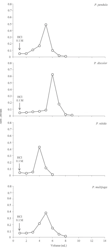 Figure  1. Affinity  chromatography  performed  on  a  trypsin- trypsin-Sepharose 4B of Amazon  Parkia  species, Brazil