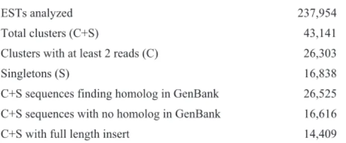 Table VI - EST clustering in the individual libraries.