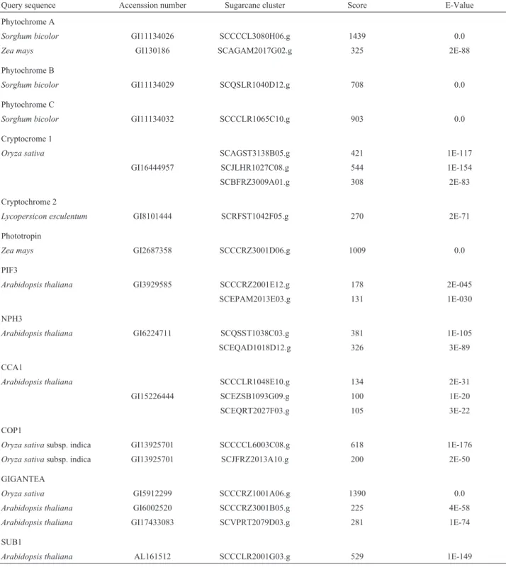 Table I - Results of a Basic local alignment search tool (Blast) for groups of genes involved in photoreception