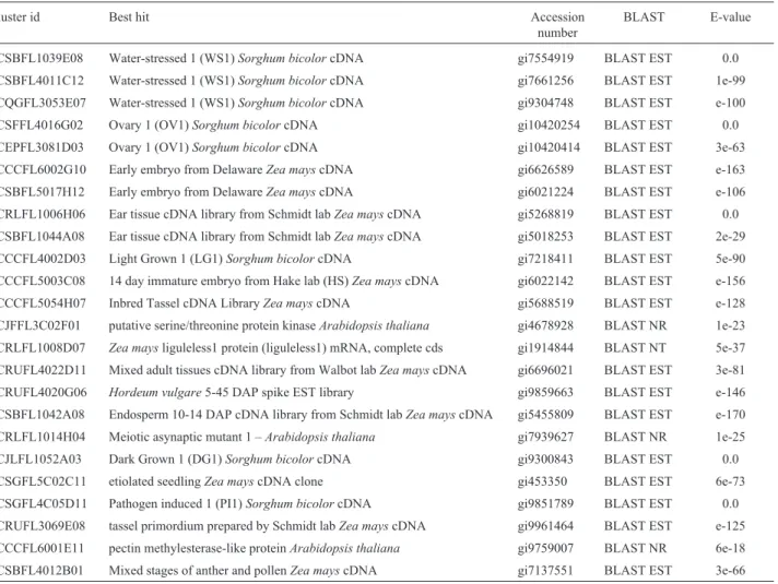 Table 1 shows the best results obtained in BLAST searches (BLAST EST, BLAST NR or BLAST NT) for each of the sequences