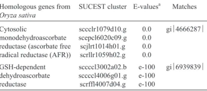 Table II - Homologues of enzymes required for ascorbate regeneration.