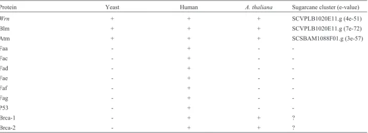 Table VII - Presence (+) or absence (-) of human hereditary disease proteins in different organisms.