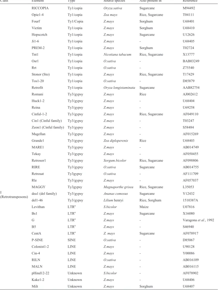 Table II - Transposable element spectrum in sugarcane and the related species rice, maize and sorghum.