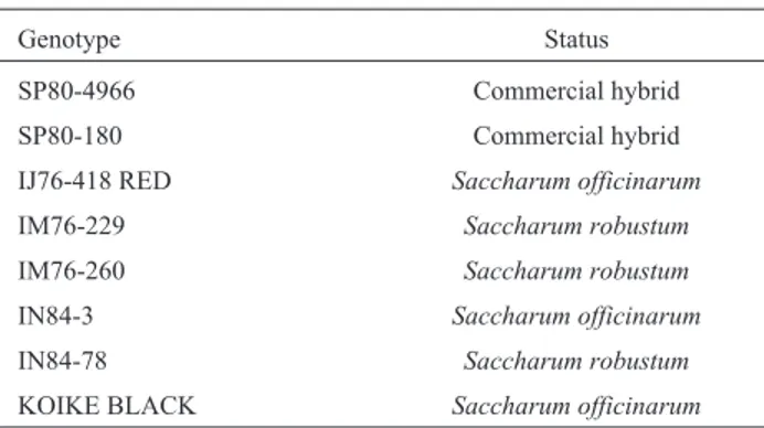 Table II - Wild and Commercial hybrid sugarcane genotypes studied with EST-SSR markers.