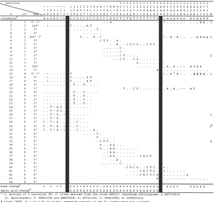 Figure 3 - Sequence variation in a sugarcane Pgd gene. Reliable sequence variation observed in the alignment of 50 ESTs generated from 44 independent cDNA probably representing a single 6-phosphogluconate dehydrogenase gene, named `B’ (see text), is presen
