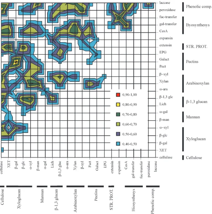 Figure 3 - Correlation between sugarcane cell wall related genes. Calculations were performed with the number of reads obtained for each gene by a basic local alignment search tool (BLAST) search using keywords and the amino acid sequences of genes known t