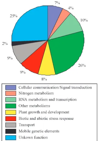 Figure 1 - Transcriptional profile of the dataset of ESTs exclusively repre- repre-sented in the AD1 and HR1 cDNA libraries, according to their biological function