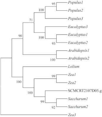 Table I - Sugarcane expressed sequence tag (EST) from the SUCEST database related to enzymes involved in lignin biosynthesis pathways.