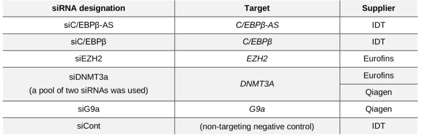 Table 2.1. siRNAs used in cationic lipid-mediated transfection of cells. 