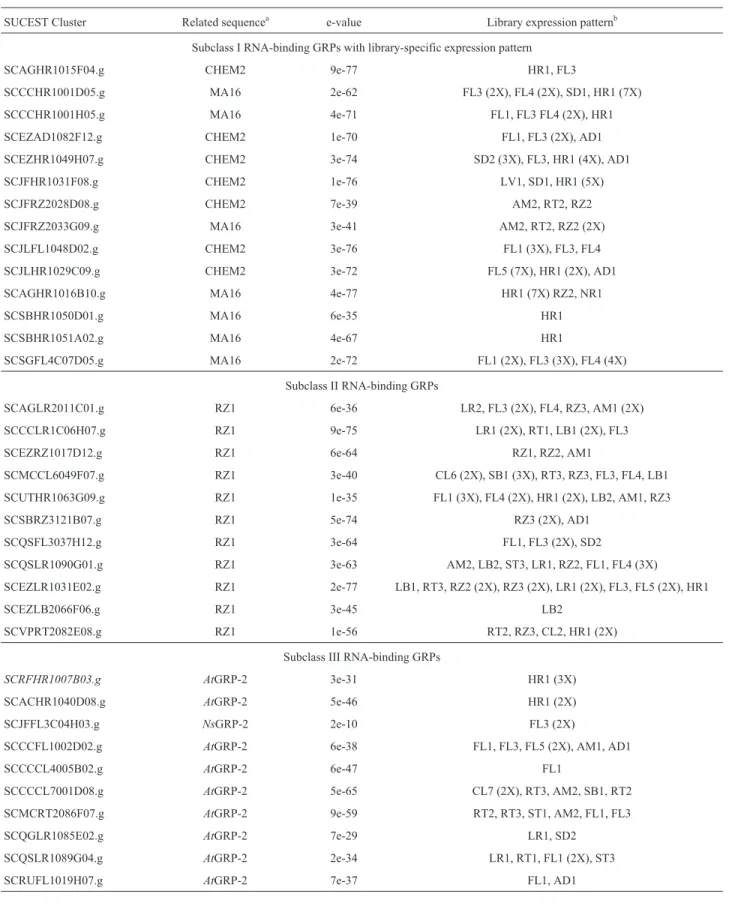 Table V - Sugarcane ESTs encoding RNA-binding GRPs.