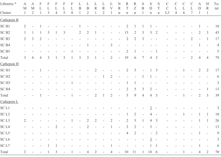 Table IV - Frequency of sugarcane cathepsins B, L and H related reads and clusters on sugarcane cDNA libraries.