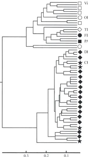 Figure 2 - Phenogram of overall molecular similarity of Hoplias malabaricus individuals in the Rio Doce basin