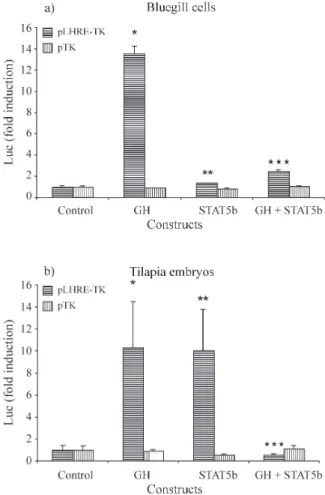 Figure 4 - Co-expression effects of the pcβA/msGH and pCMV/STAT5b constructs on the LHRE reporter gene in fibroblast cells (a) and fish  em-bryos (b)