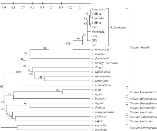 Figure 2 - UPGMA tree showing the relationships among the 20 species of seven sections of the genus Arachis.
