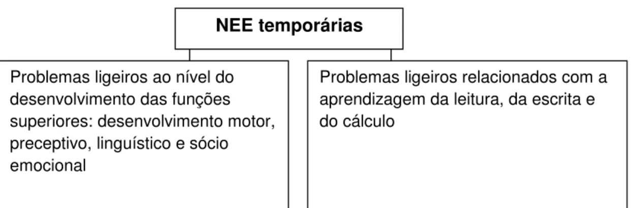 Figura 3 - Tipos de NEE temporárias 