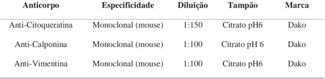 Tabela 3: Especificações dos anticorpos primários utilizados para o procedimento  citoquímico