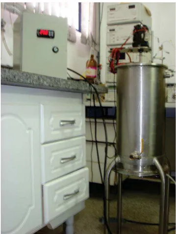 Figura 8. Reator de inox com controle de temperatura (PASSARETTI, 2008) 