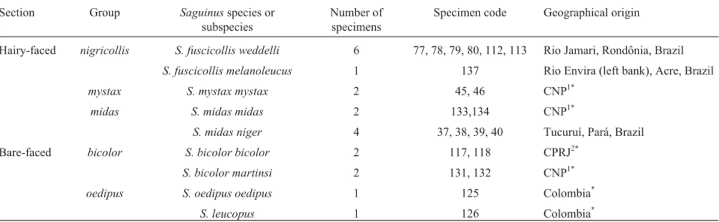 Table 1 - Taxonomic and geographical data concerning the Saguinus specimens used. Classification according to Hershkovitz (1977).