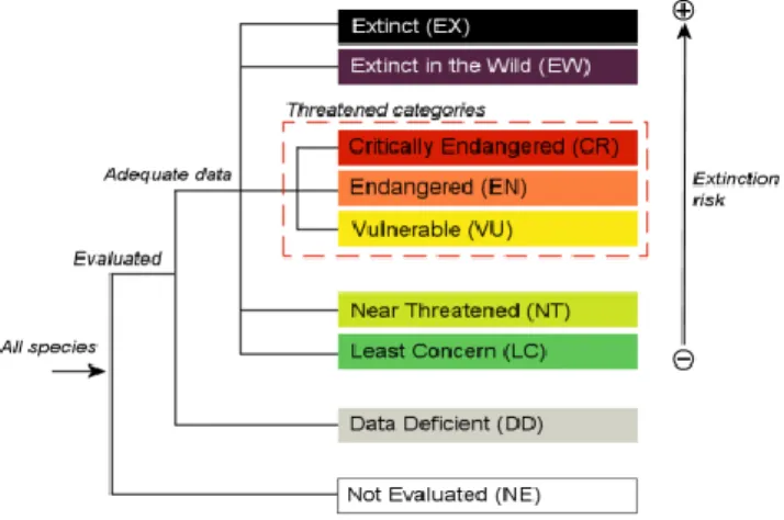 Figura 1 – Categorias de risco de extinção da Lista Vermelha da IUCN. Fonte: IUCN, 2012