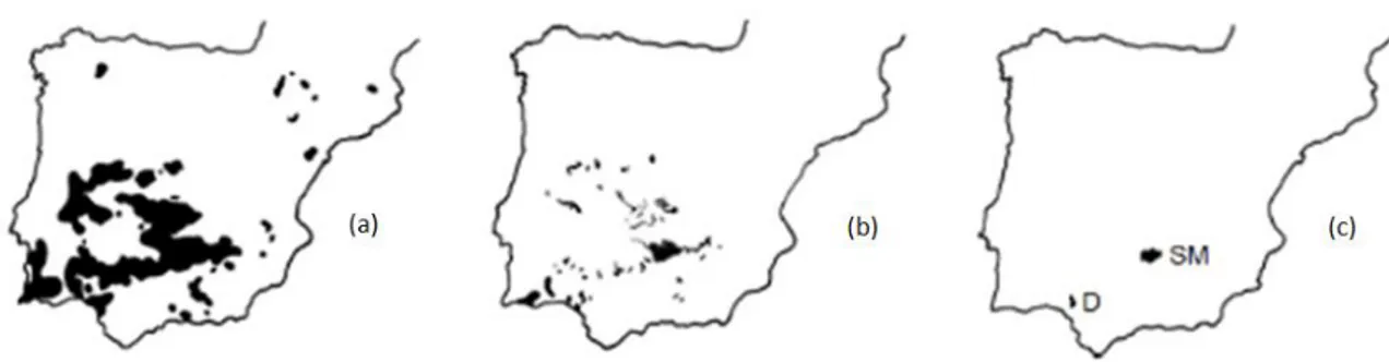 Figura 6 - Distribuição estimada das populações de Lince Ibérico na península Ibérica na 2.ª metade do séc