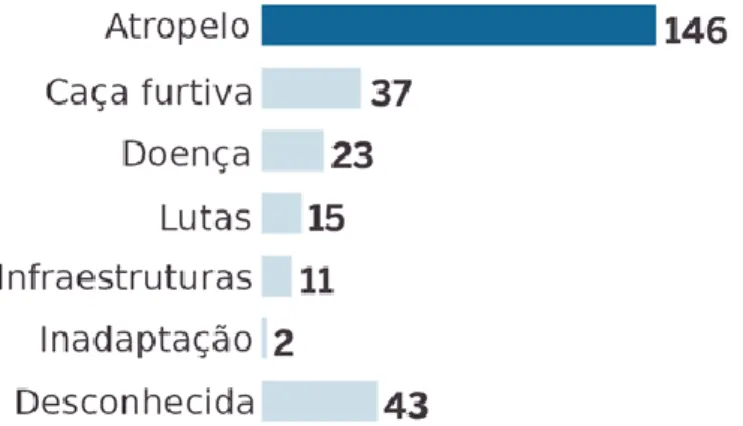 Figura 7 - Principais causas de mortalidade do Lince Ibérico. Fonte: adaptado de Planelles e Sánchez, 2019