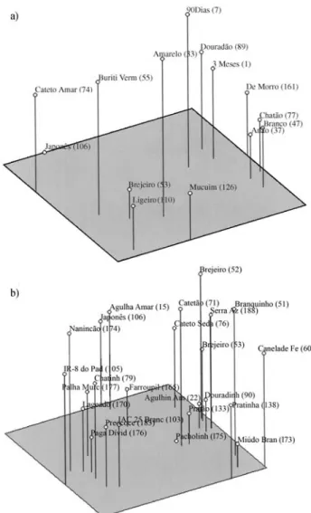 Figure 2 - Dendrogram based on Rogers-W distance coefficient of a sub- sub-set of 24 rice landraces.