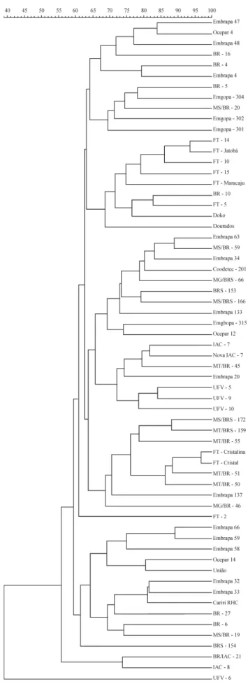 Figure 5 - UPGMA dendrogram based on AFLP similarity coefficients of 62 soybean cultivars and cophenetic correlation at the roots.