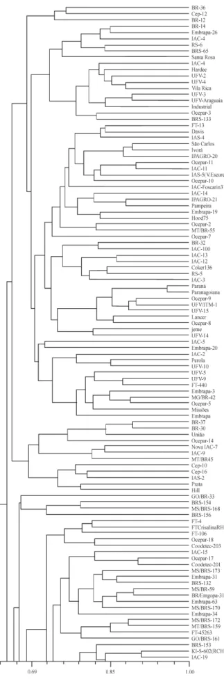 Figure 4a - UPGMA dendrogram based on AFLP similarity coefficients of 317 soybean cultivars.