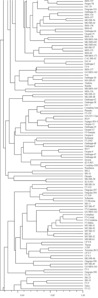 Figure 4c - UPGMA dendrogram based on AFLP similarity coefficients of 317 soybean cultivars (cont.)