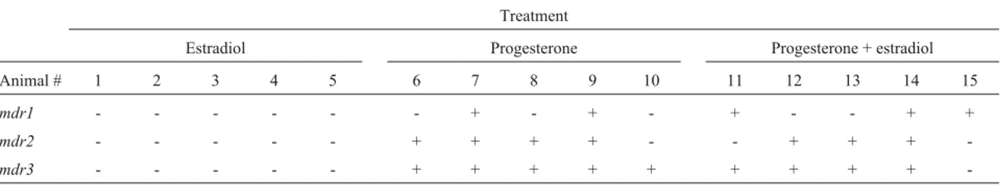 Table 3 - Presence (+) or absence (-) of mdr isoforms in the uterus of 15 ovariectomized females submitted to different hormone treatments.