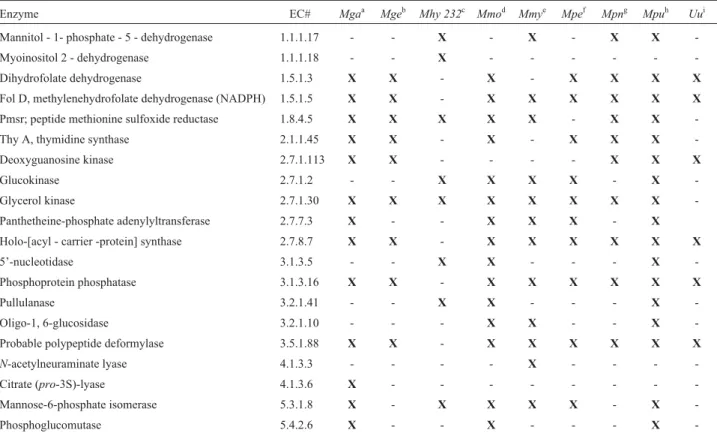 Table 2 - Distribution of differential sequences encoding enzymes of other Mycoplasma and Ureaplasma species.