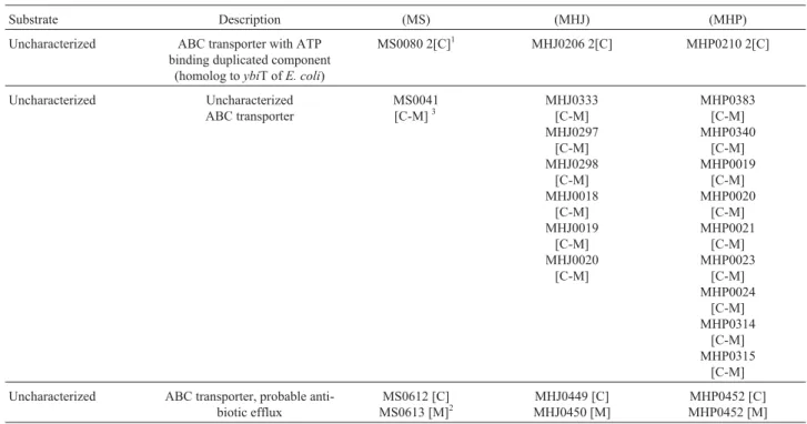 Table 4 - Description of CDSs related to uncharacterized ABC transporter in the M. synoviae strain 53 (MS) and M