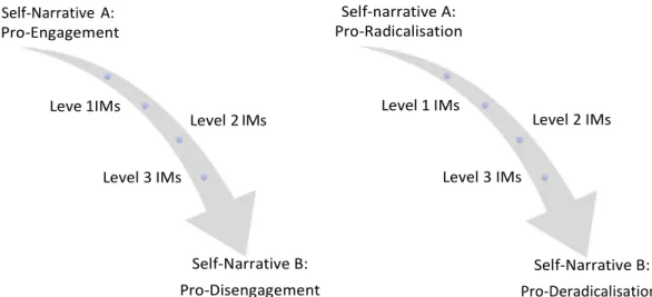 Fig. 1.  Representation of the IMCS coding process. 