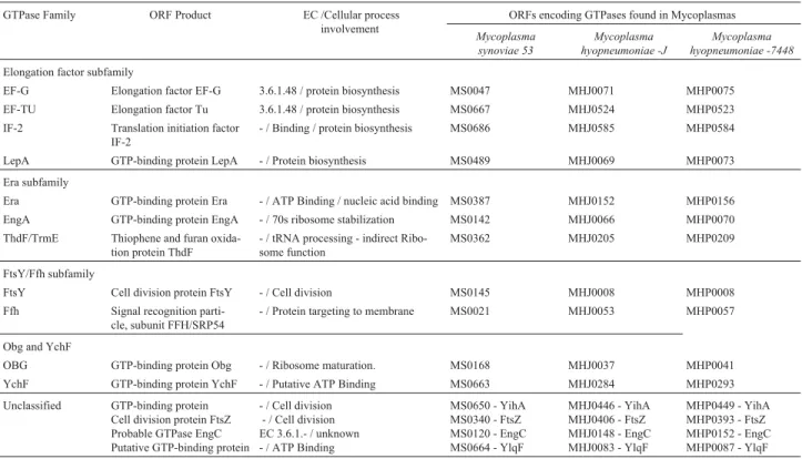 Table 1 - ORFs encoding GTPases and GTP binding proteins from M. synoviae strain 53 and M