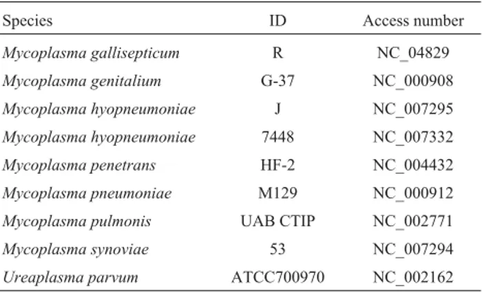Table 1 - The taxonomic classification and the access numbers in GenBank of the nine species of mycoplasmas included in this work.