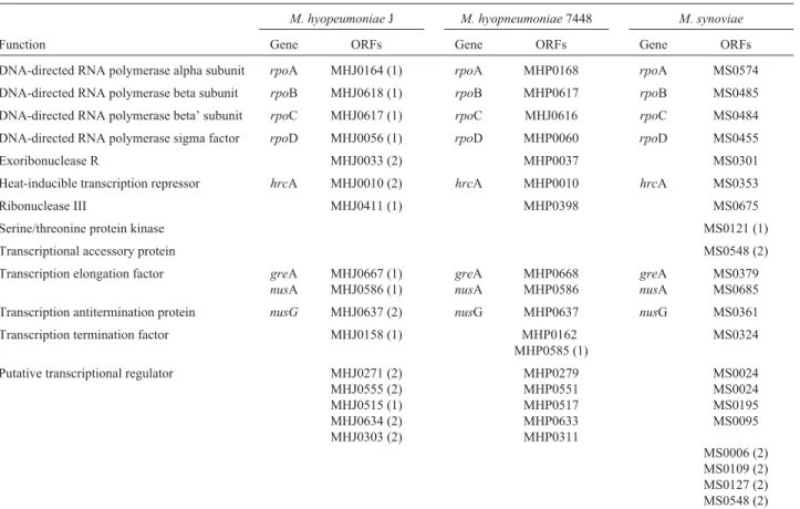 Table 1 - ORFs related to transcription in M. hyopneumoniae J and 7448 and M. synoviae strains, based on COG (NCBI) assignment of sequences.