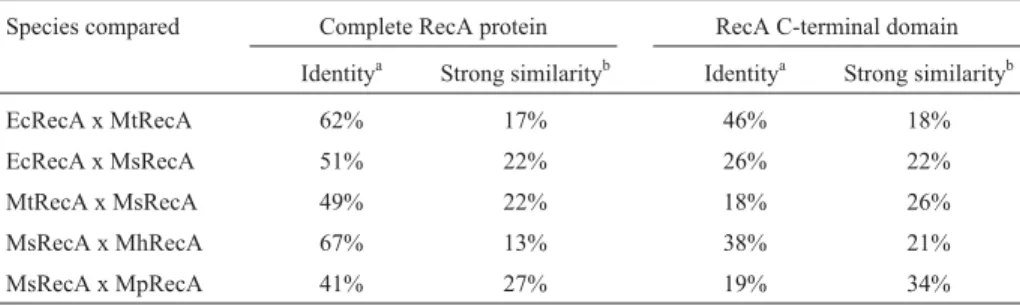 Table 1 - Identity and similarity of amino acids between RecA proteins analyzed through CLUSTAL W.