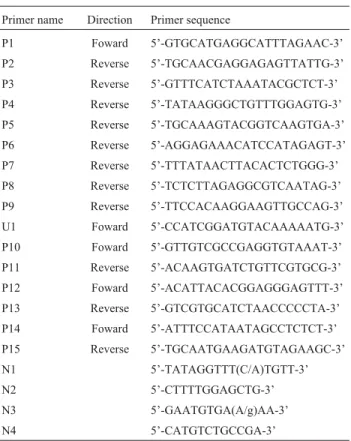 Table 1 - Primers used for PCR amplification.